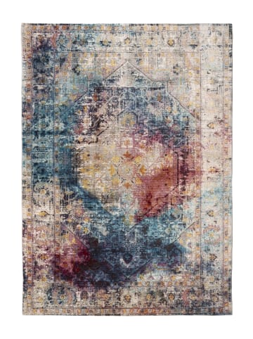 Vivorum Wohnzimmer Kurzflor Teppich Blazing Star 225 in multi