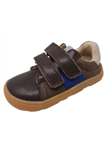 bisgaard Klettschuh Barefoot Rico in Braun