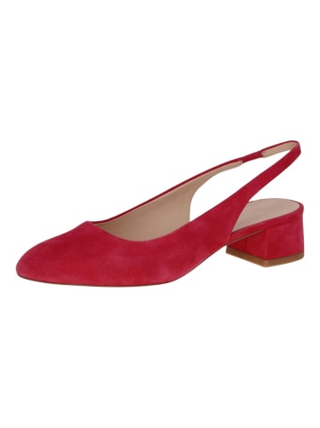 PETER KAISER Pumps in Pink