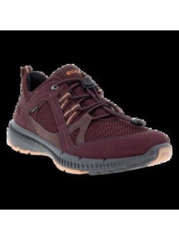 Ecco Damen- Schnürschuhe Terracruise II in Rot