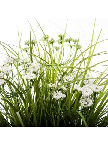Kunstblume, Grass, weißer Topf in Grün, 40 cm