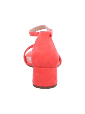 Tamaris Sandaletten in RASPBERRY