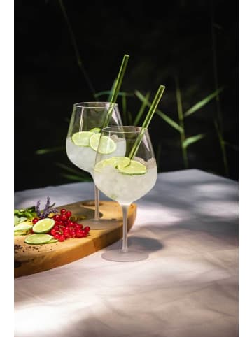 Eisch 2er Set Gin Tonic Gläser Secco Flavoured 735 ml in transparent