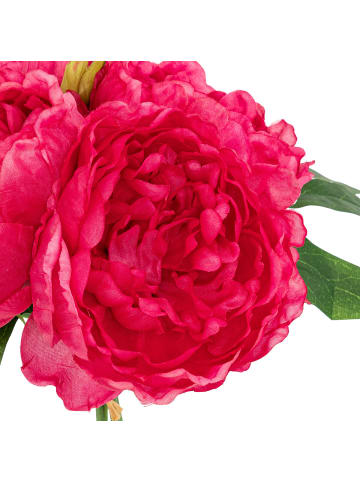 Atmosphera Créateur d'intérieur Künstliche rosa Pfingstrosen BELY, 4 Blumen in Rosa, 20 x 20 x 31 cm