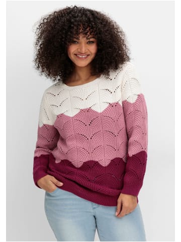 sheego Pullover im Ajourstrick, mit Colourblocking in beere gemustert