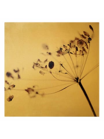 WALLART Leinwandbild Gold - Makroaufnahme Trockenblume im Schatten in Creme-Beige