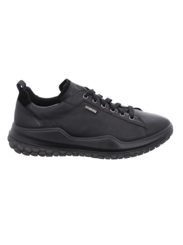 WESTLAND Sneaker Marla W04 in schwarz