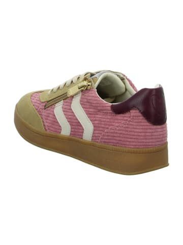 Marco Tozzi Sportliche Schnürschuhe in Beige