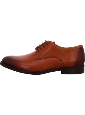 DIGEL Schnürschuh in braun