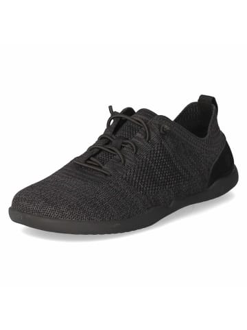 Josef Seibel Schnürhalbschuh in schwarz
