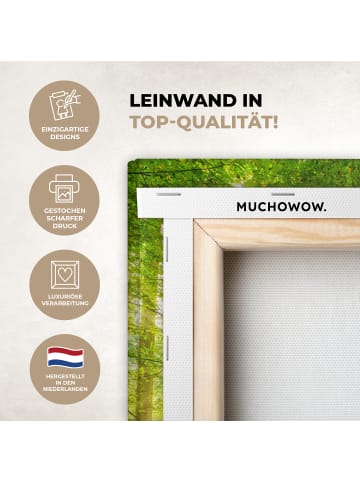 MuchoWow Leinwand bilder Waldlicht (BxH)