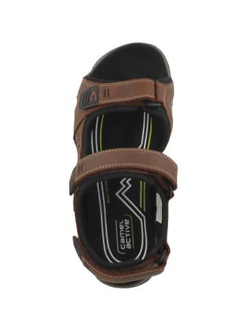 Camel Active Sandale 58RIA01 in braun