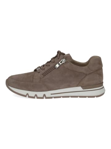 Caprice Sneaker in Taupe