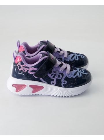 Geox Klettschuhe in Blau