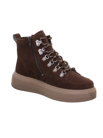 Legero Stiefelette WONDER in Corvino Braun