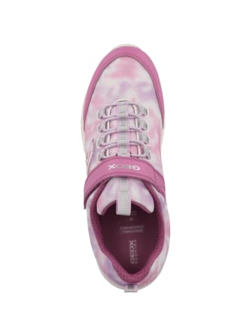 Geox Sneaker low J New Torque G. A in rosa