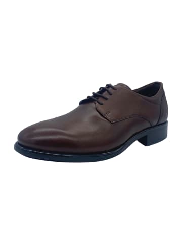 Ecco Business Schnürschuhe in Braun