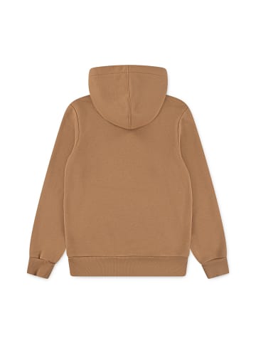Levi´s Sweatshirt in Braun