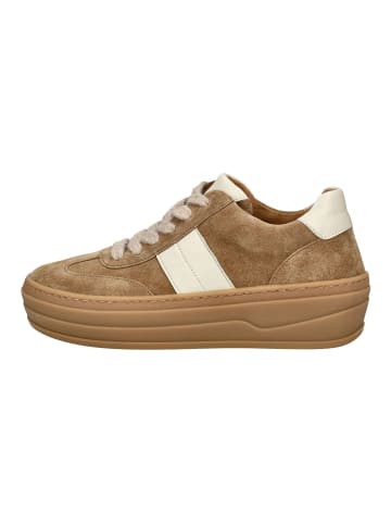 Gabor Sneaker Braun/Beige