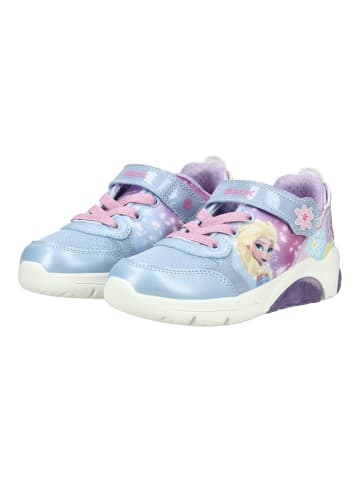 Geox Sneaker in Blau/Pink