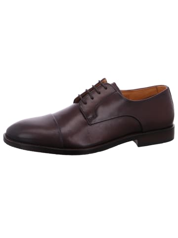 DIGEL Business Schuh Stan in Braun