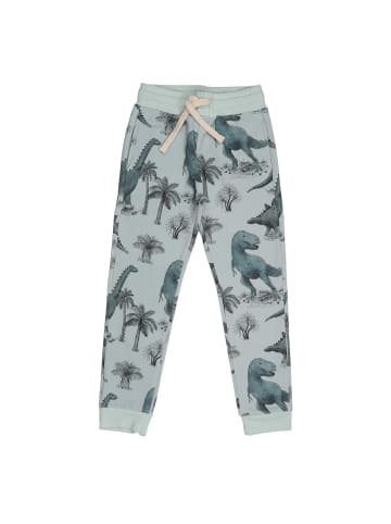 Walkiddy Jogginghose Dinosaurland-Jogger