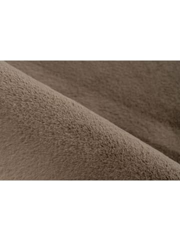 Kayoom Kayoom Neu 2026 Wohnzimmer Kurzflor Teppich Capitol 125 taupe in taupe