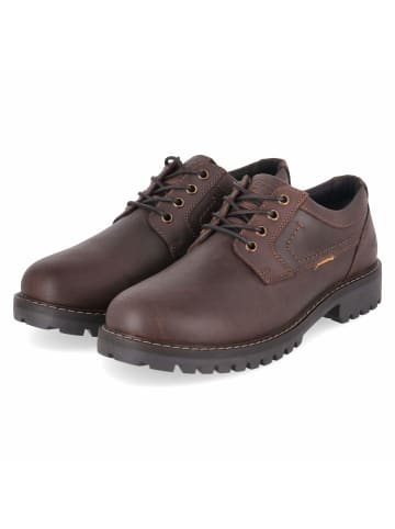 Camel Active Schnürhalbschuh in brown
