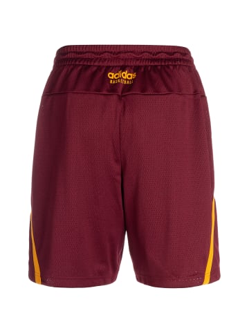 adidas Performance Shorts Select Summer in weinrot / orange