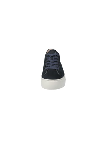 Paul Green Sneaker in Blau