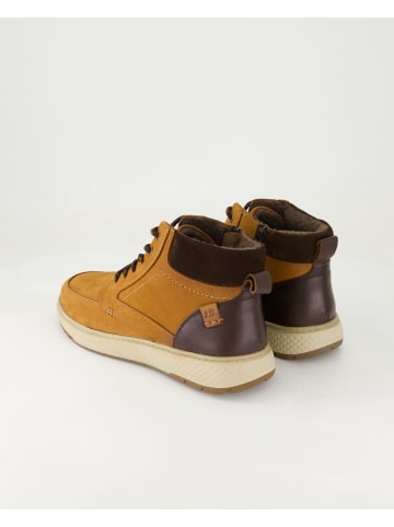 Josef Seibel Stiefeletten in Braun