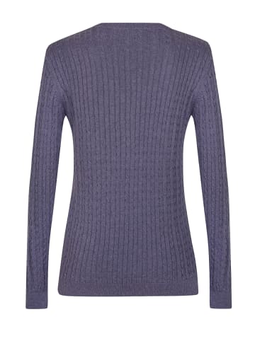 Felix Hardy Pullover in Violett