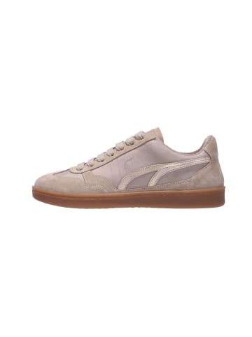 JOOP! Sneaker 'Velluto Misto Palma in Beige'