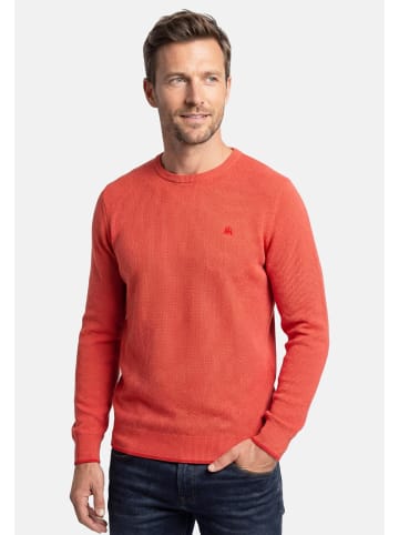 Lerros Pullover Basic in Rot / Türkis