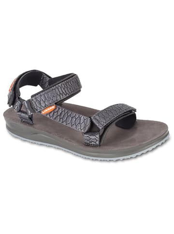 Billabong W HOOKED TROPICS TROPIC in Steingrau