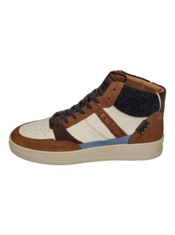 Kamo-Gutsu Sneaker High CAMPO 154 in bunt