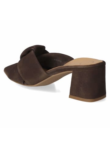 Paul Green Pantolette in brown