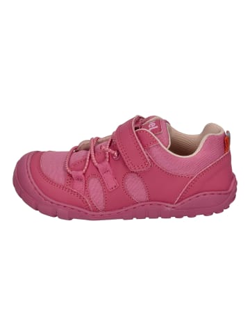 KOEL Sneaker Low Mateo in rosa