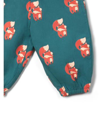 Little Green Radicals Bio-Fallschirm-Jogginghose in Blau