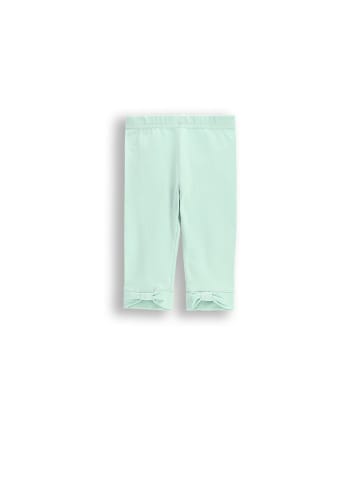Coccodrillo Kurze Leggings in grün