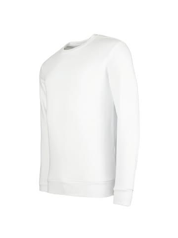 Only&Sons Sweatshirt 'CHASE' in mehrfarbig