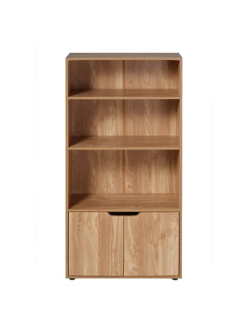 CALICOSY Regal 13998 in Trinken - (W) 58,5  x (H) 120  x (L) 29 cm