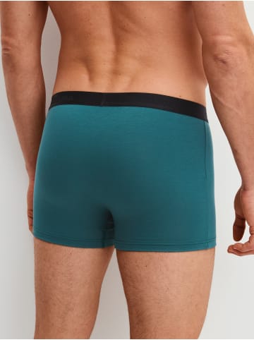 Calida New Boxer, 3er-Pack in dark petrol