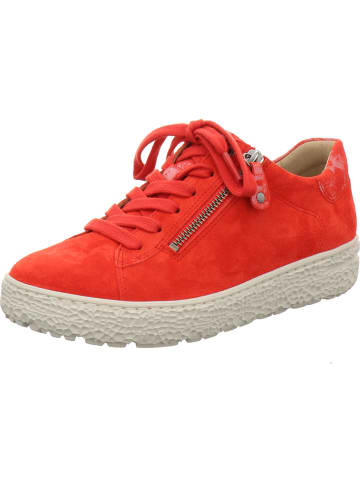 Hartjes Schnürschuhe in rot