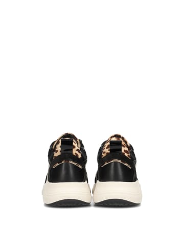 POELMAN Poelman CIBEL Damen Sneaker