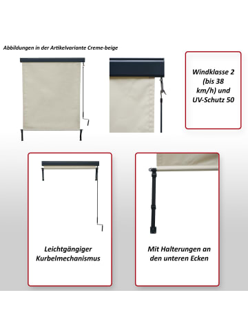 MCW Vertikalmarkise F42, 250x100cm, creme-beige
