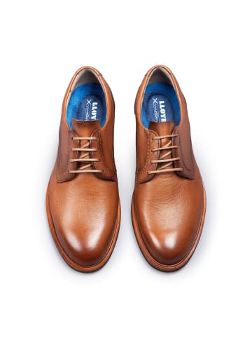LLOYD Schuhe Klassischer Schnürhalbschuh in BRAUN