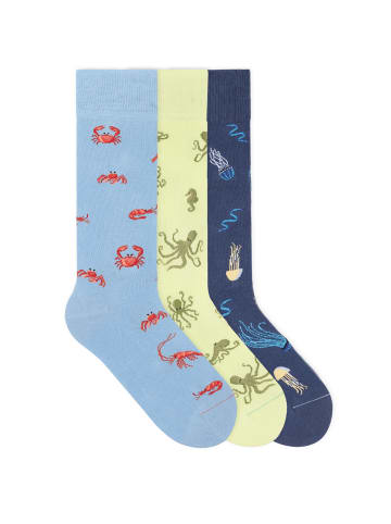 von Jungfeld Gemusterte Socken Signature Icons Set in Nautica