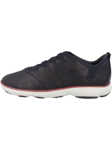 Geox Sneaker low U Nebula E in dunkelblau