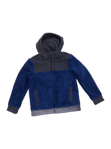 Jack Wolfskin Fleecejacke Pine Cone Kids in Blau